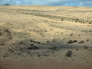 Desert habitat on Lanzarote © John Muddeman